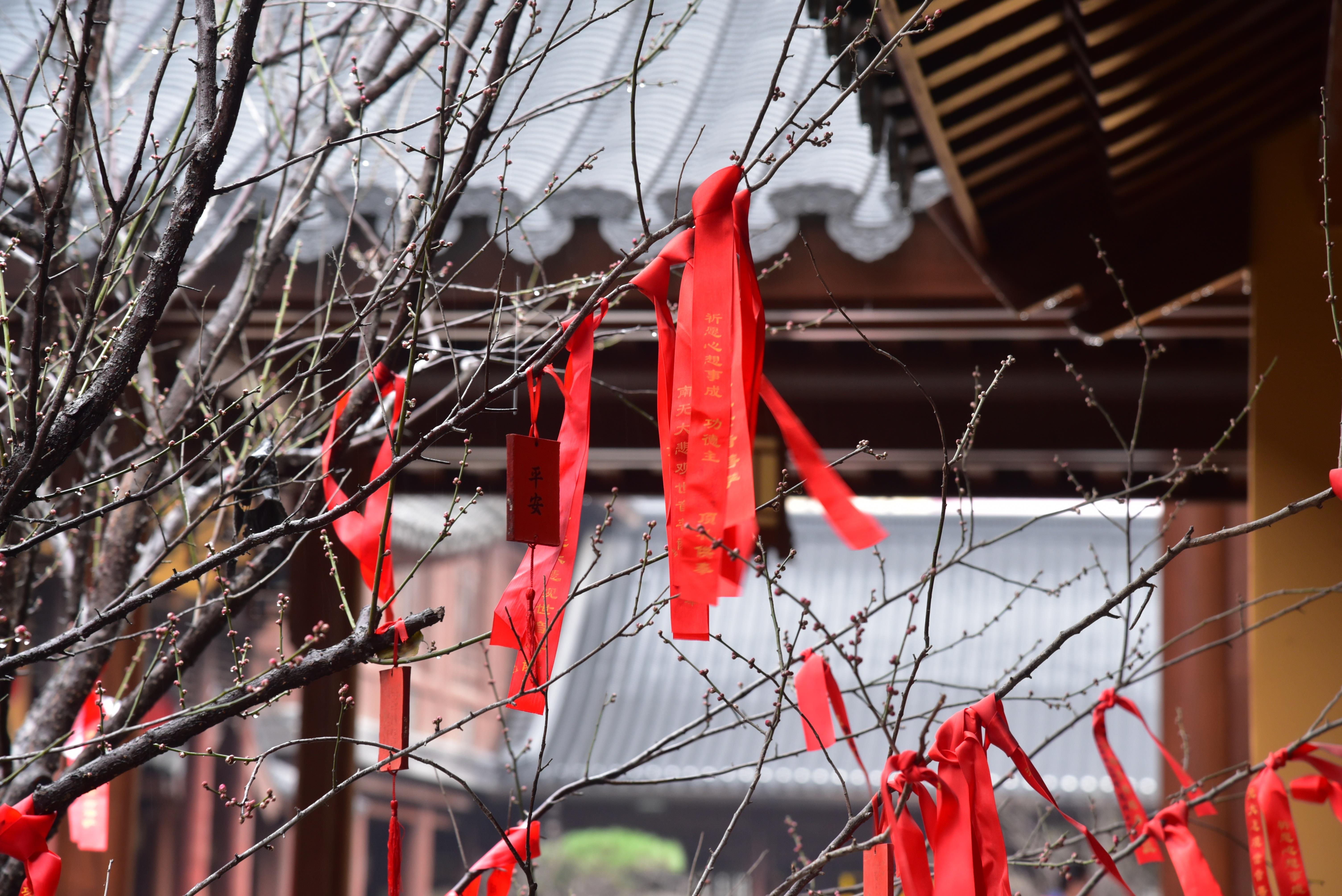 【居家风水】家门口的秘密：如何摆放物品招财纳福让家庭繁荣昌盛