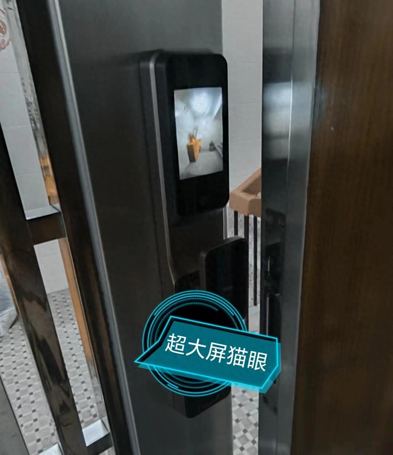 智能锁就要选人脸锁，回家懒点咋地啦