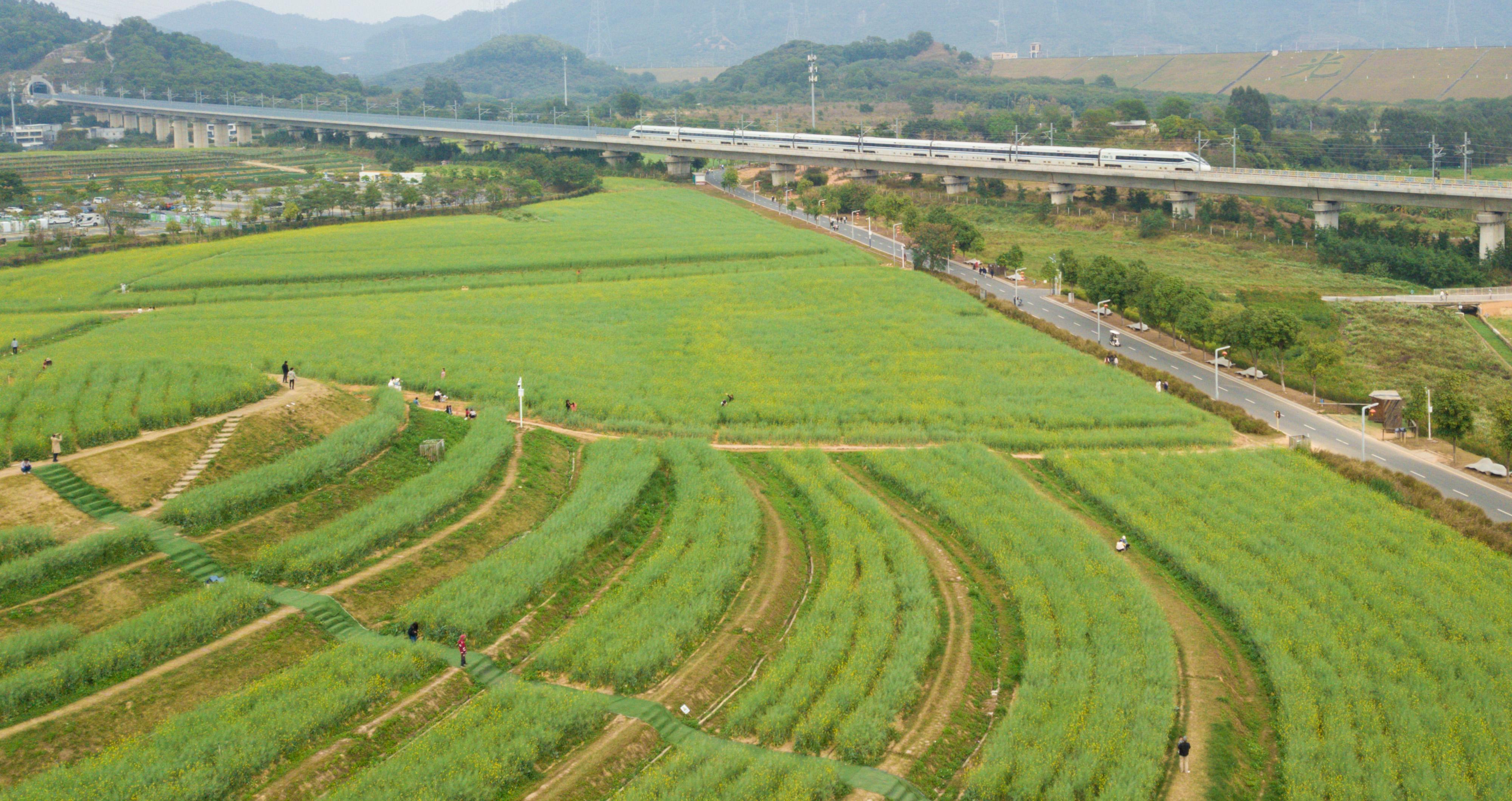 （生态）都市田园春色好