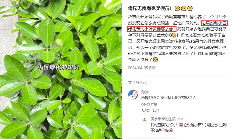 我拿你当神器你把我当傻子，这10个家居物件良心坏透，坑人无数！