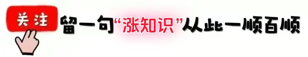 “门口五不放，放了家不旺”，这5样是指哪5样？你家门口有吗？