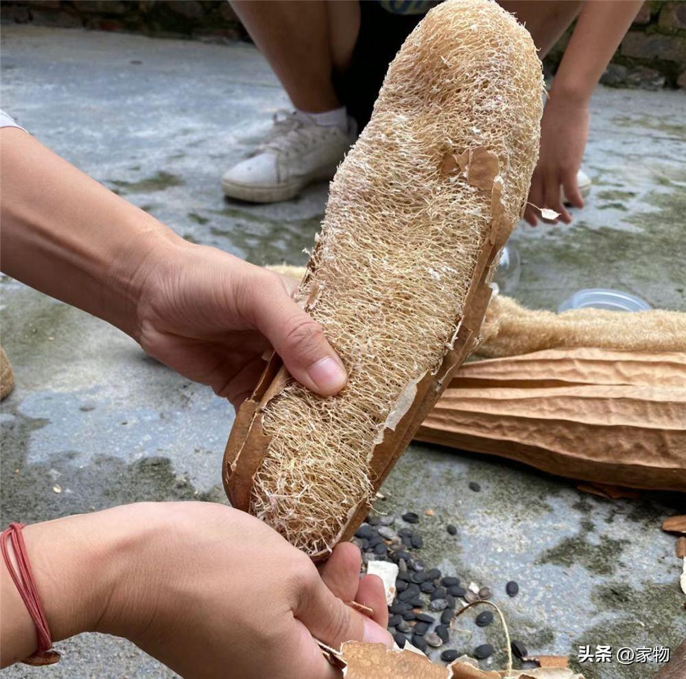 我发现，有些家居用品根本不用“刻意买”，一年到头，浪费少多了