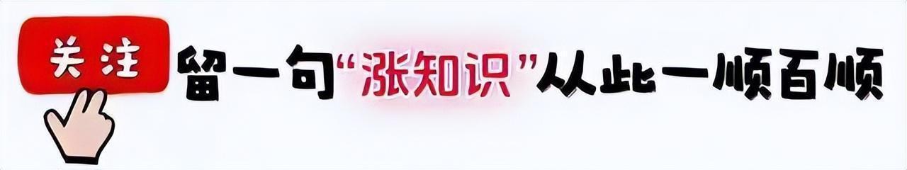 若再买房，室内门一定坚持“3不要”！不光省钱还很实用