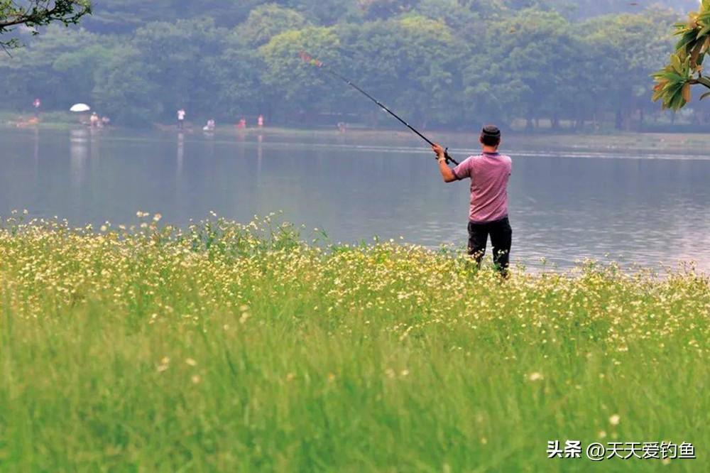 3种民间野钓方法，专门用于钓江河，夏季钓鱼效果无敌