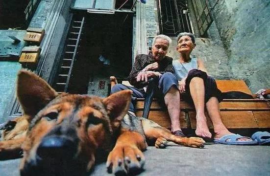 每天都經過的趟櫳門，你可知曉它的玄妙？