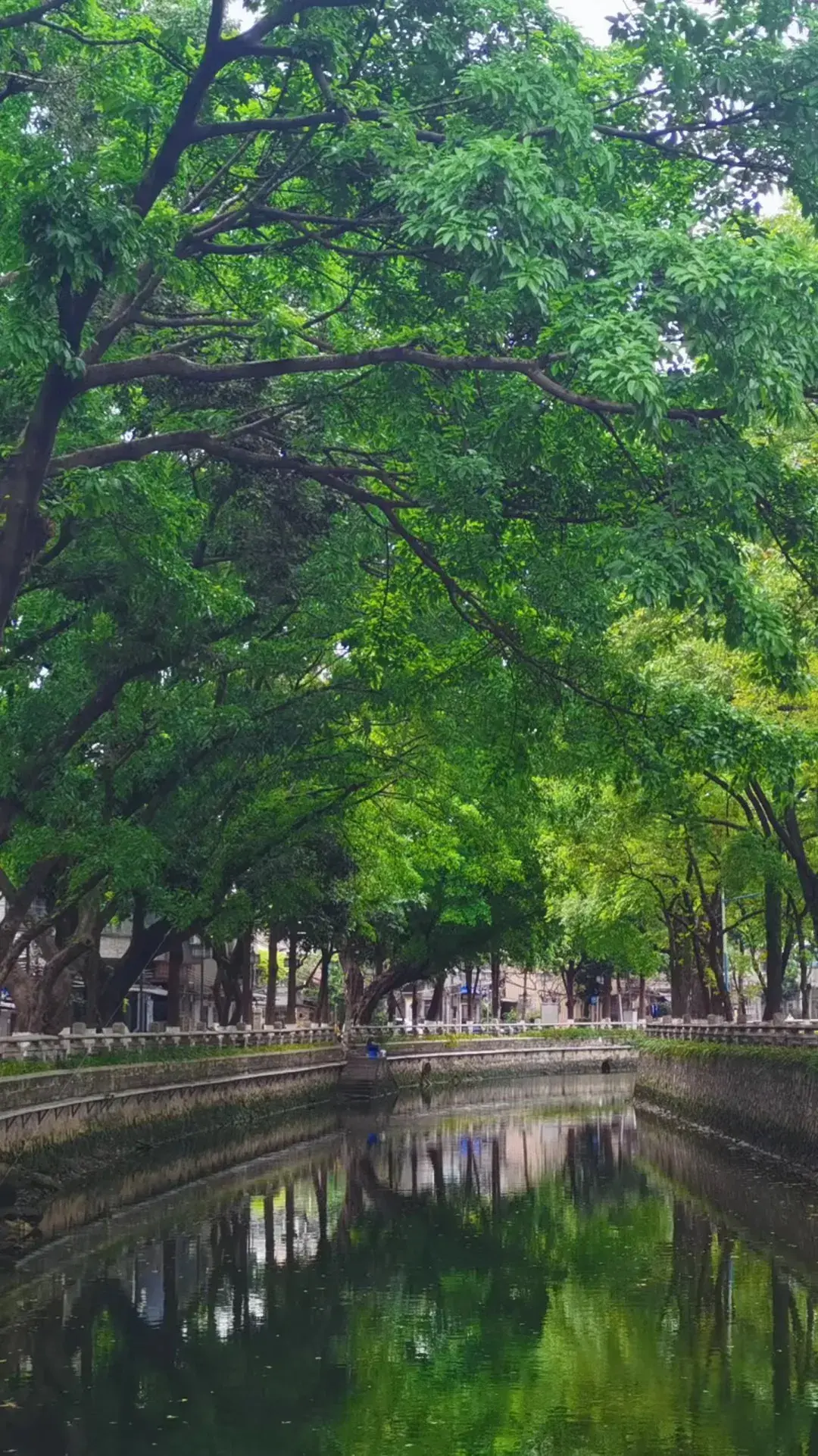 不要去擠永慶坊，芳村這個百年古村更香，免門票免預約！地鐵直達