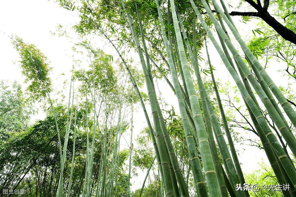 風水中對住宅位置的14個講究