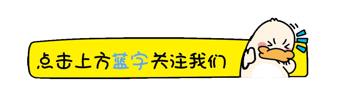 很多人眼中不能碰的8个家居物件，我买了，然后真香了