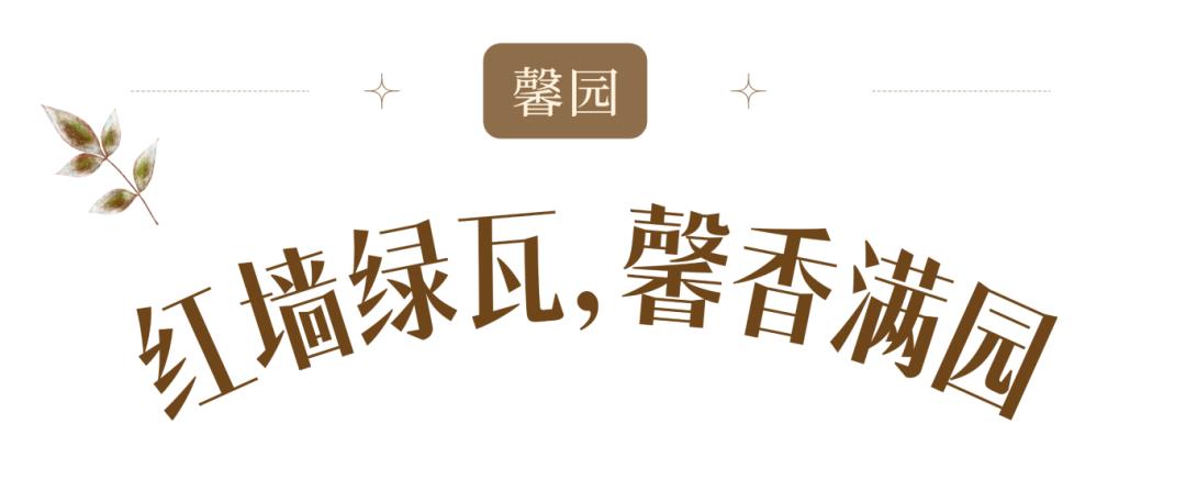 壹號見 | 邂逅壹段舊時光