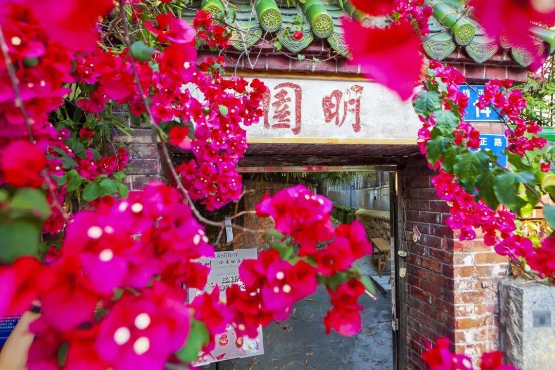 壹號見 | 邂逅壹段舊時光