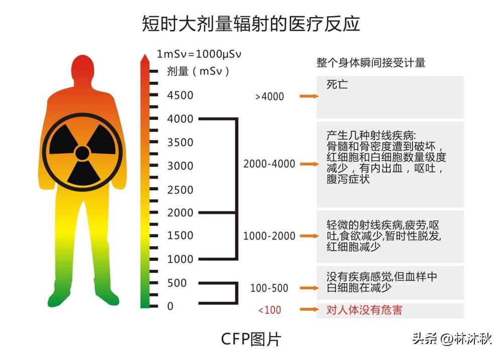 過安檢時，安檢員為何會尷尬，屏幕上到底能看到啥？