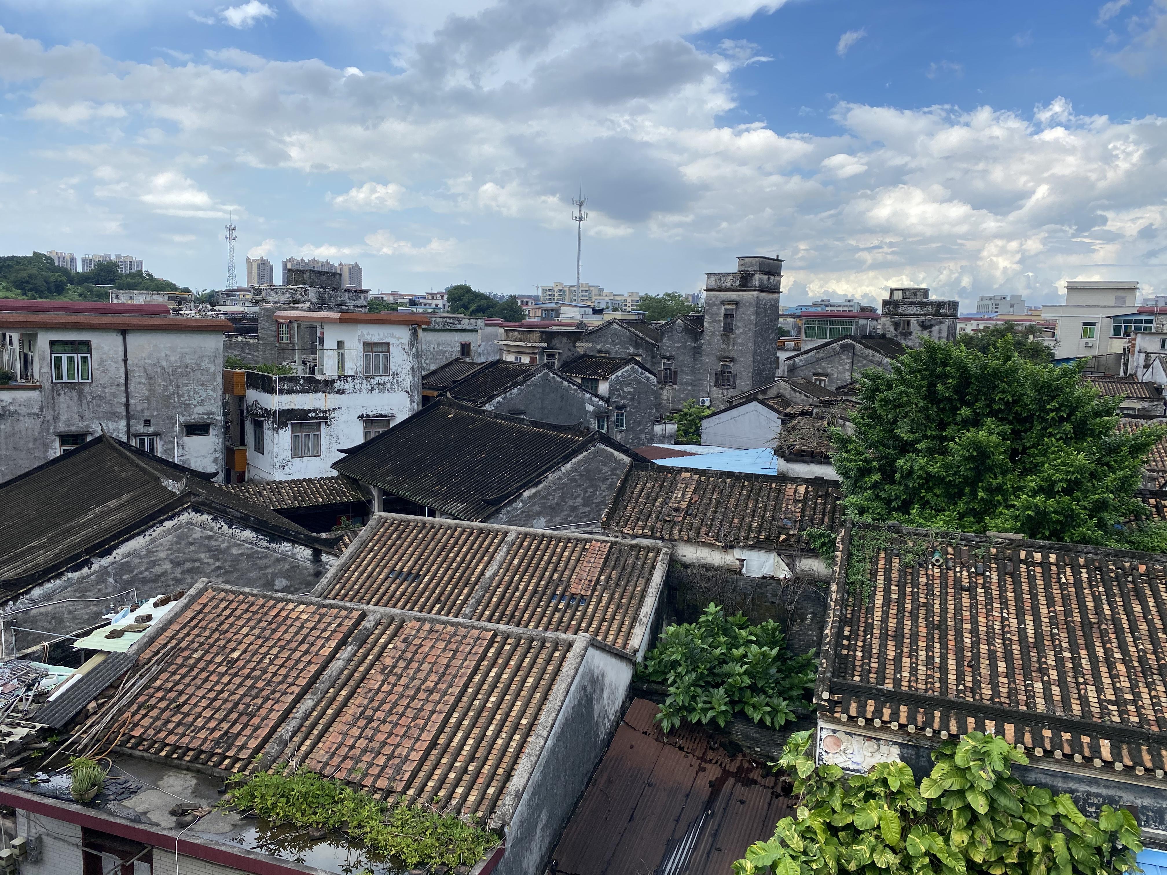 中山，滿城皆是“掃地僧”