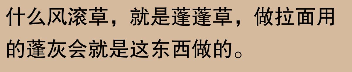 廁所門為何向內開？網友：內開更隱私，試想大風吹開尷尬嗎？