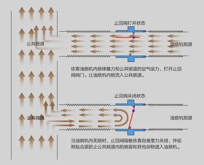 止逆閥還沒裝？杜絕大型社死現場，衛生間無異味，保持清清爽爽