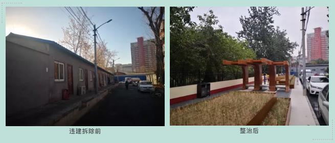 顏值爆表！海淀這5條背街小巷“大變身”！看到第一條就想去打卡……