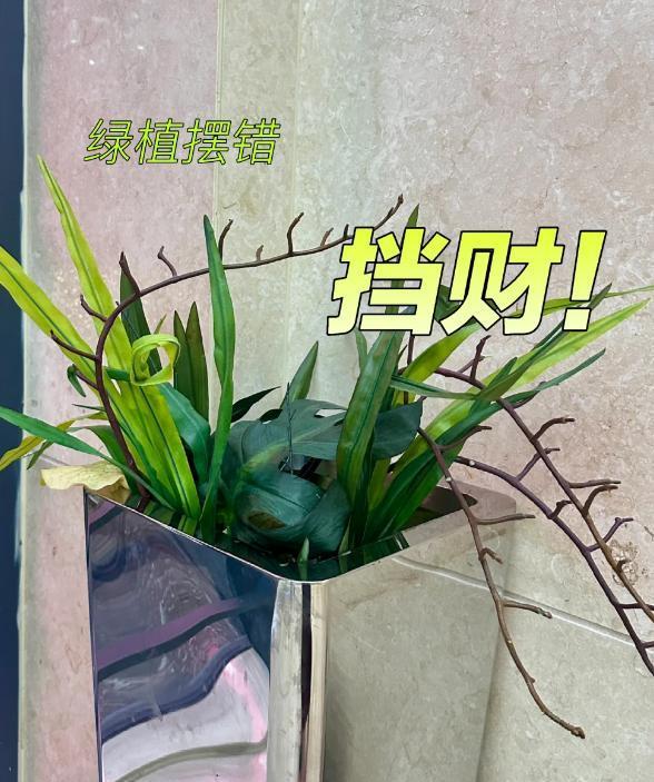 老人說：“門口4不放，放瞭快拿走”，門口不能放哪4樣？看完懂瞭