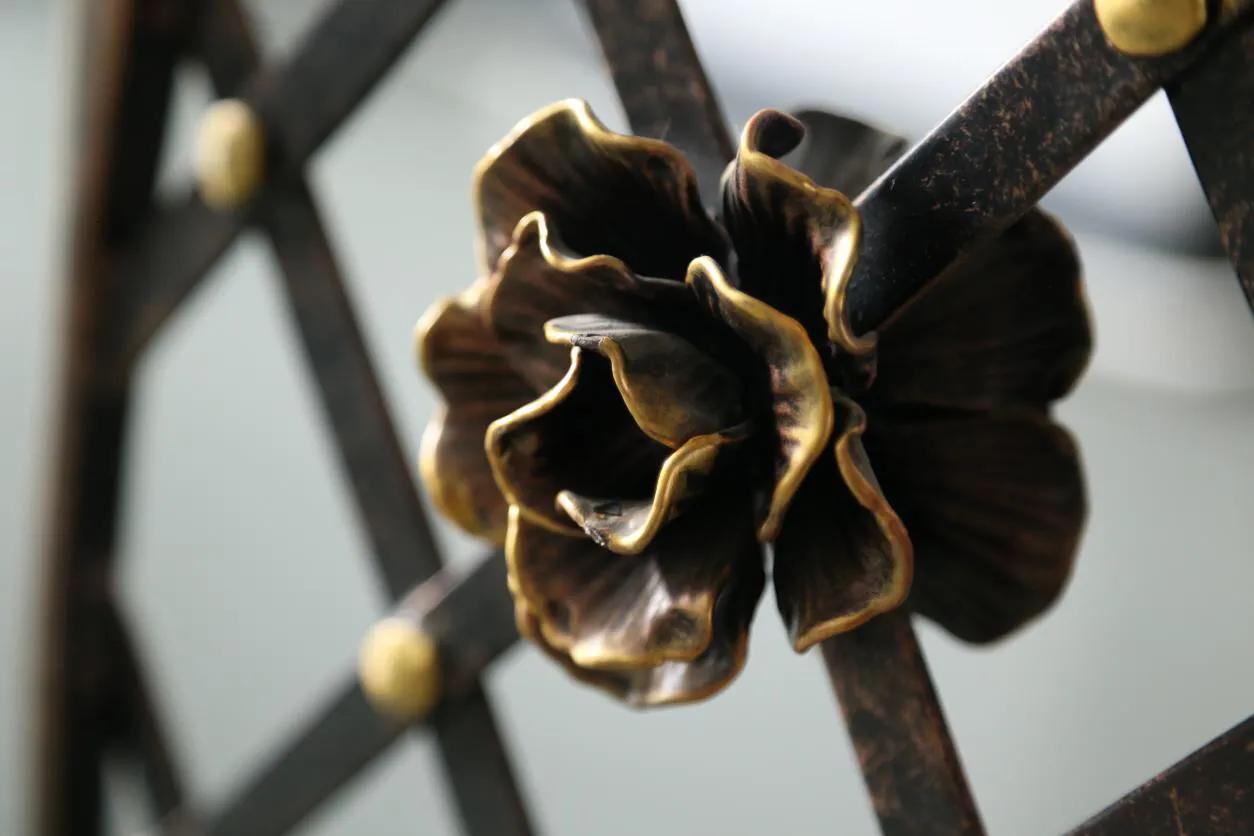Simple style wrought iron gate