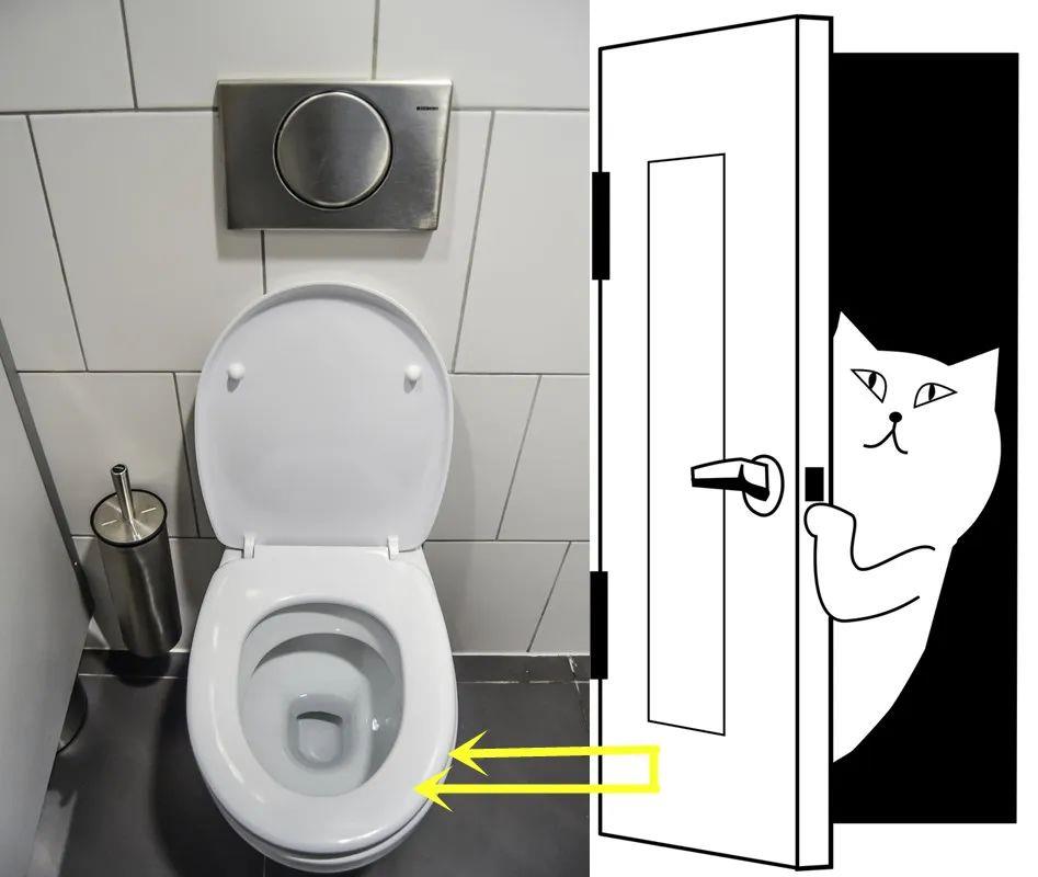 The bathroom is too small and the toilet is blocking the door? Try folding doors to save space and be practical