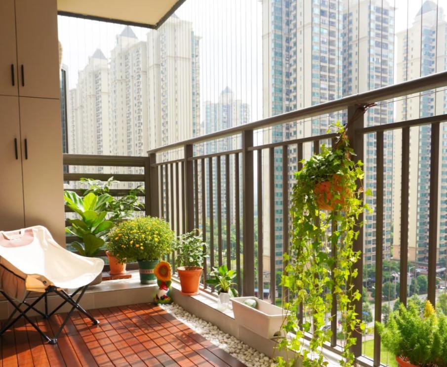 I admit that I am a \"local dog\"! I didn’t expect that the balcony would be so cool after being designed like this.