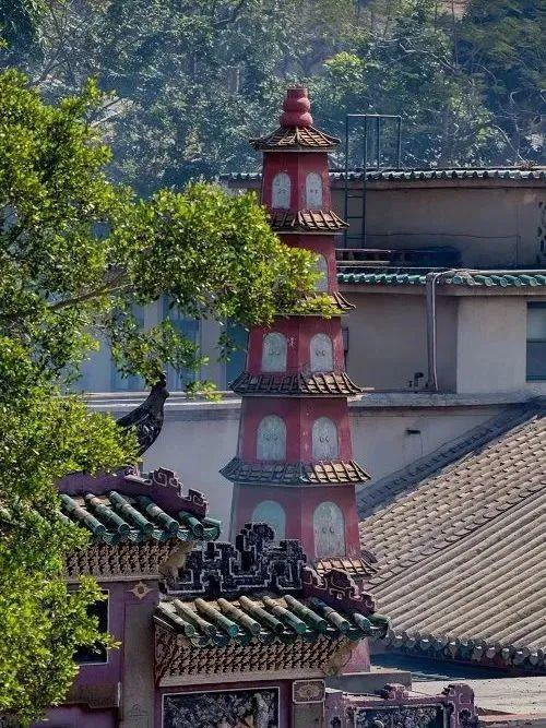 Macau Travel｜Do you know the \"doorways\" in these buildings?