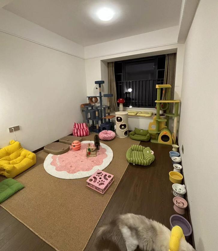 I was surprised by the “decoration ideas” of young people! A bit outrageous, but somewhat practical