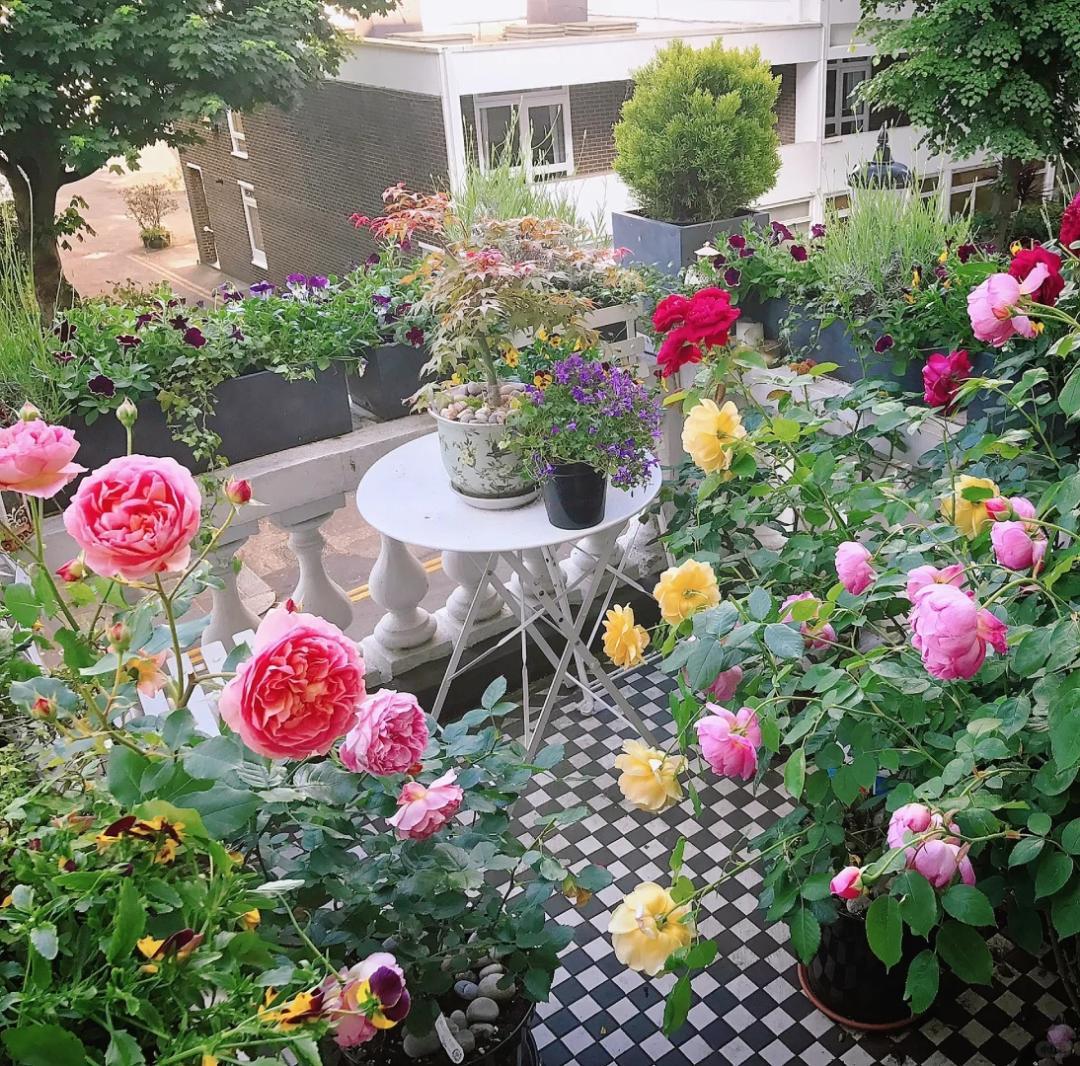 Do you know how foreigners design their balconies?