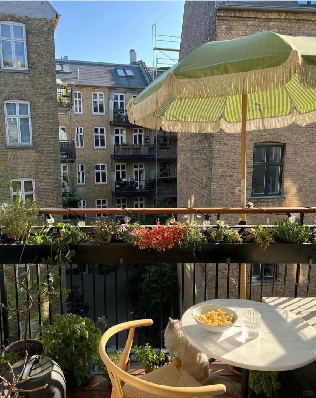 Do you know how foreigners design their balconies?