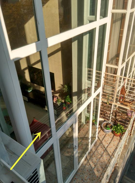 I went to 5 door and window stores to find out whether I should choose broken bridge aluminum or colored aluminum for doors and windows. I almost made the wrong choice.