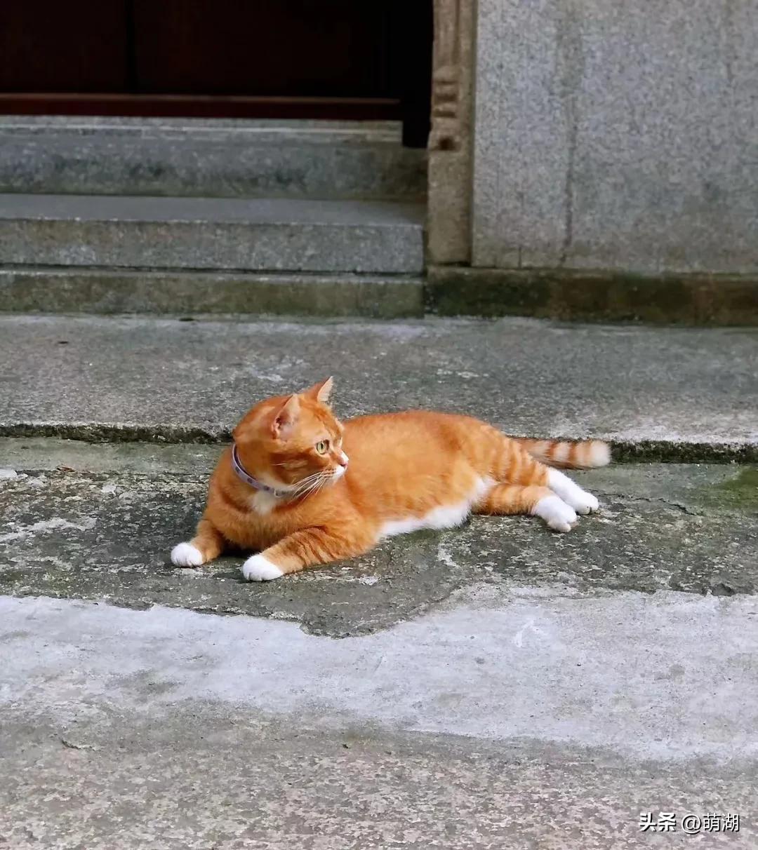 Long Daowei, which has not changed much in 50 years, hides the most urban life in Guangzhou