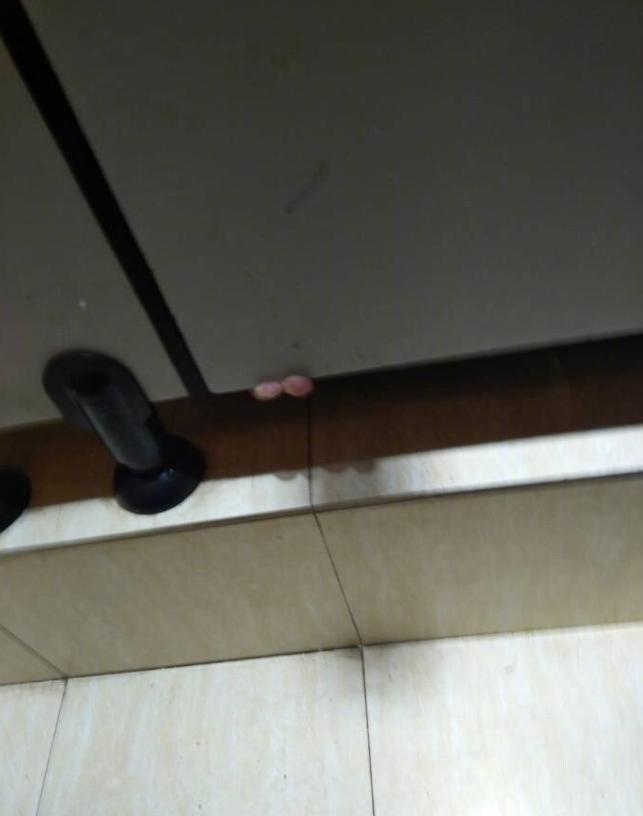Why are public toilet doors always empty? Here comes the answer