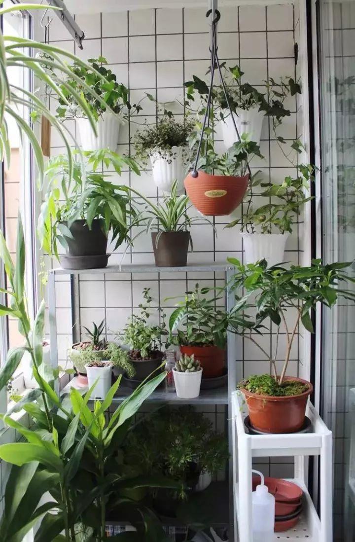 These small balconies are so practical that they can easily meet the needs of washing and drying.