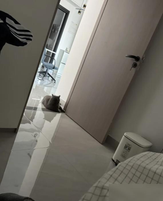 Do you need to close the bedroom door when you sleep at night? It\'s not superstition, but scientific basis